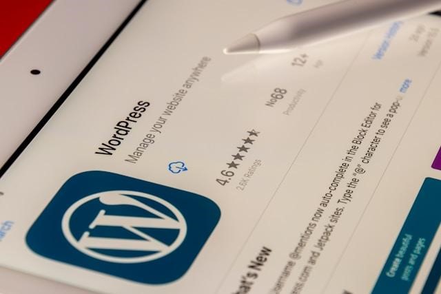 Wordpress Development Firm